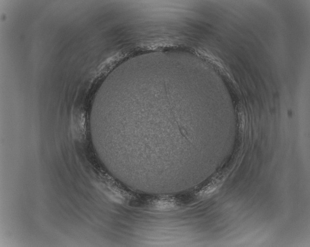 X0000069790308200605221121