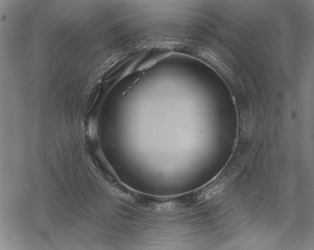 X0000069790309200605221121