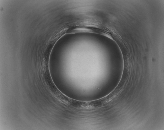 X0000069790311200605221121