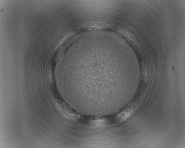 X0000069790312200605221121