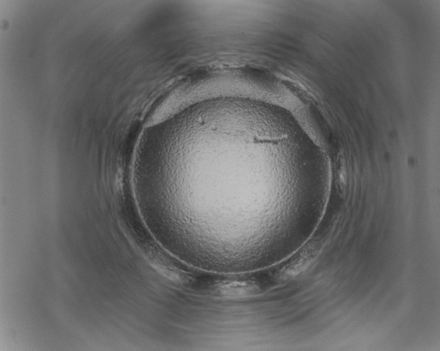 X0000069790315200605221121