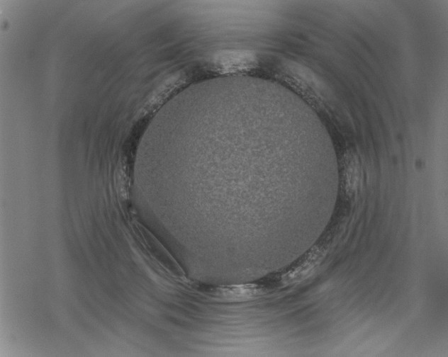 X0000069790316200605221121