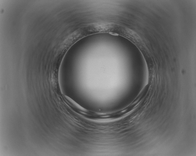 X0000069790317200605221121