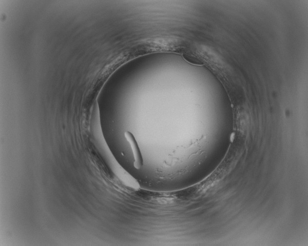 X0000069790318200605221121