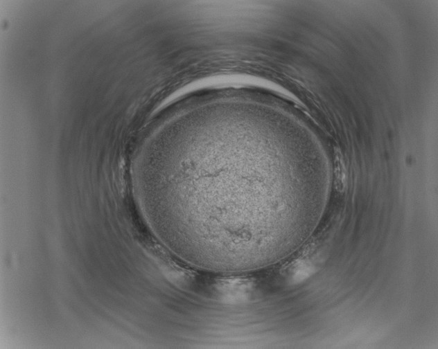 X0000069790319200605221121