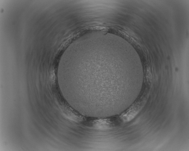 X0000069790320200605221121