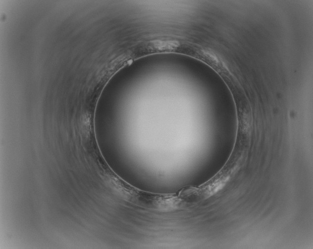 X0000069790321200605221121