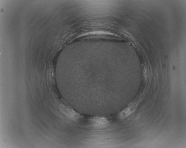 X0000069790322200605221121