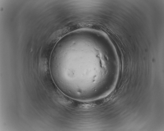 X0000069790323200605221121