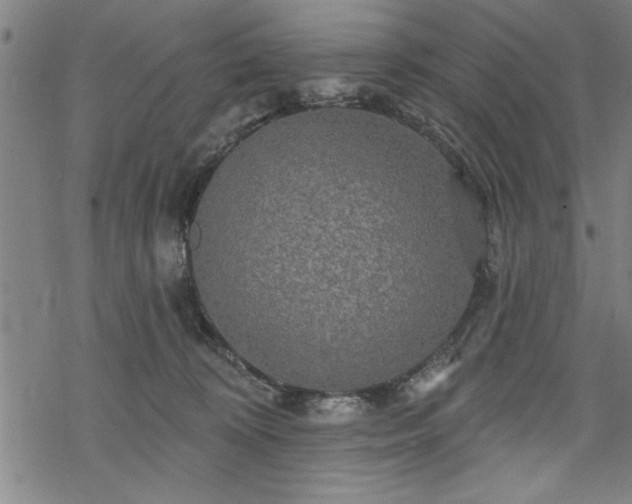 X0000069790324200605221121