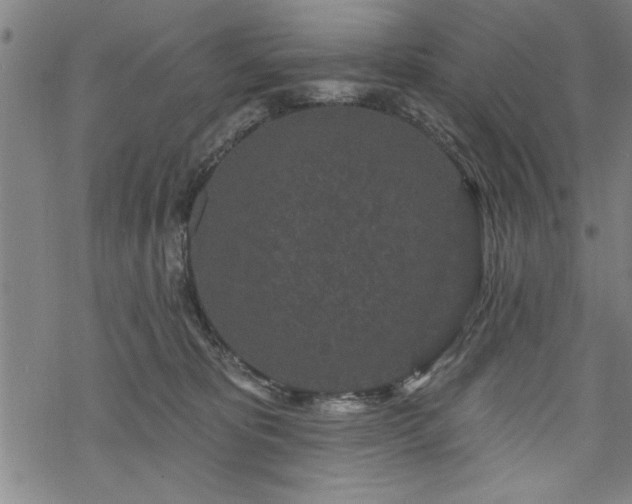 X0000069790325200605221121