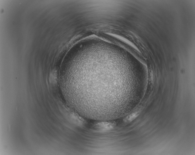 X0000069790326200605221121