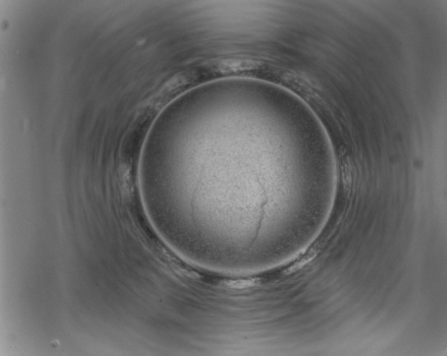 X0000069790327200605221121