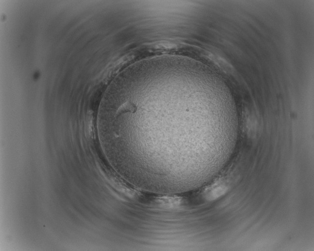 X0000069790328200605221121