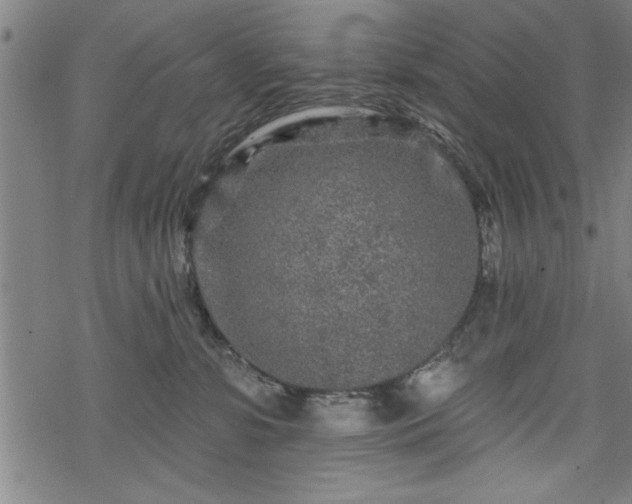 X0000069790331200605221121