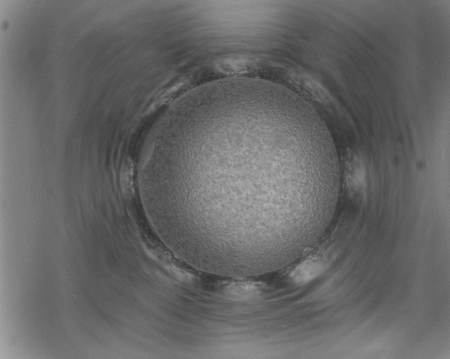 X0000069790332200605221121