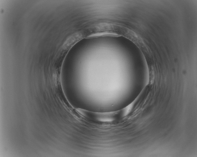 X0000069790333200605221121