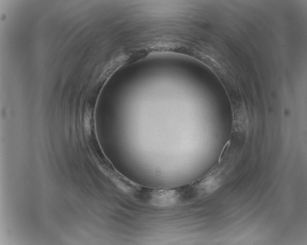 X0000069790334200605221121