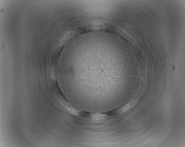 X0000069790336200605221121