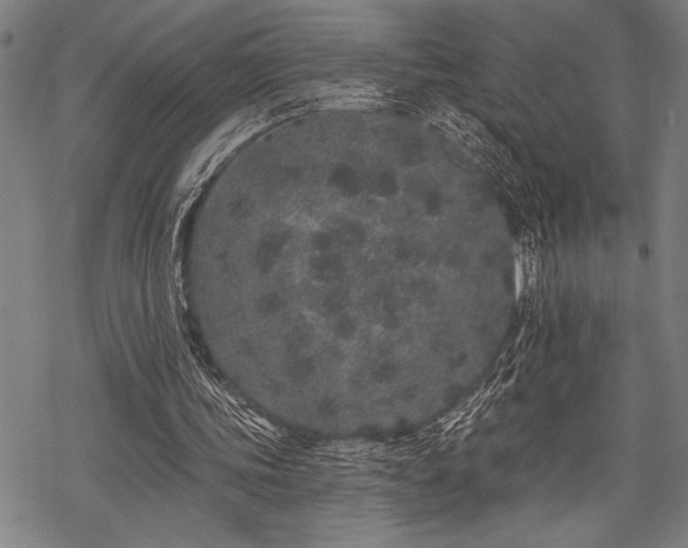 X0000069790339200605221120