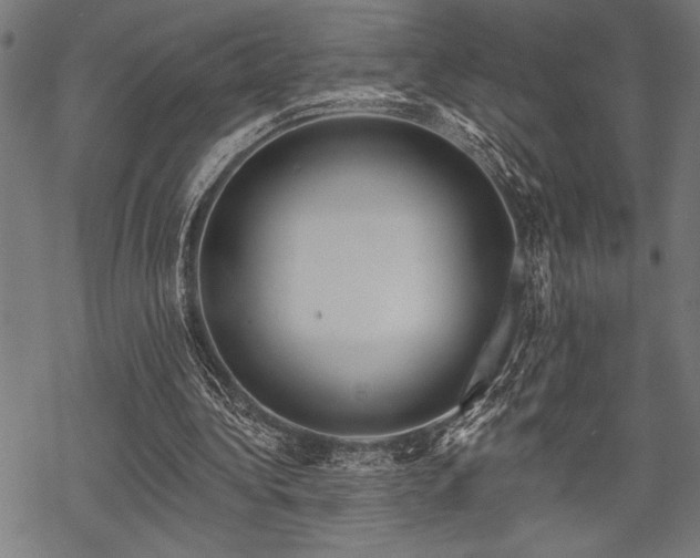 X0000069790340200605221120