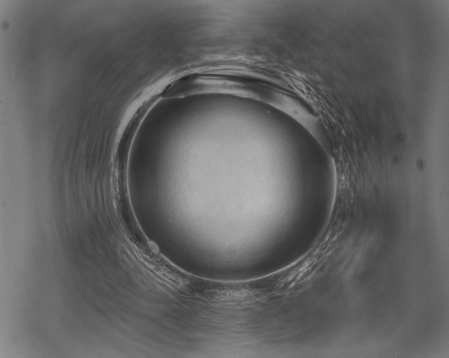 X0000069790342200605221120