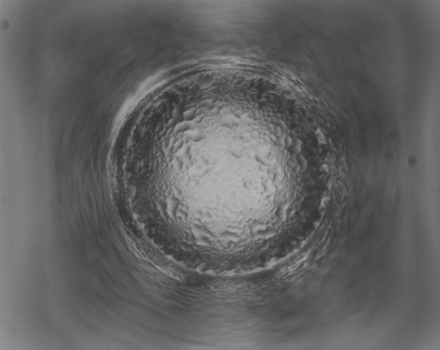 X0000069790343200605221120