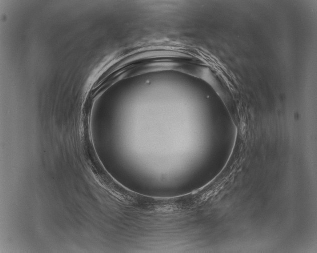 X0000069790344200605221120