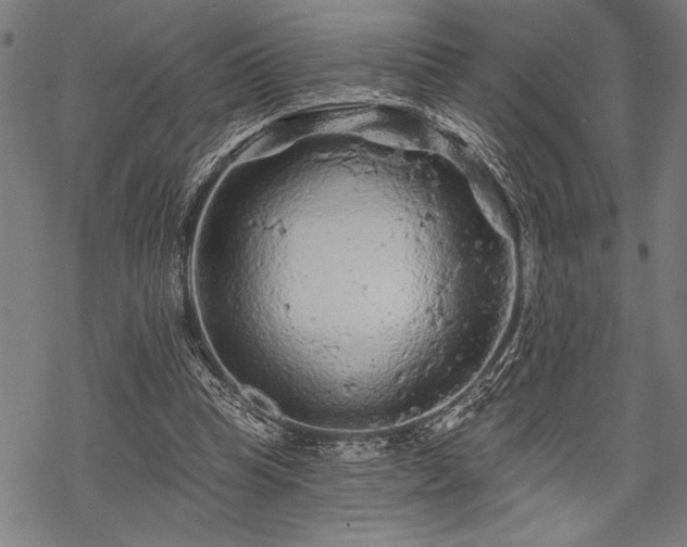 X0000069790345200605221120