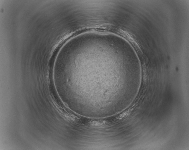 X0000069790346200605221120