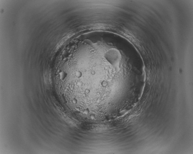 X0000069790347200605221120