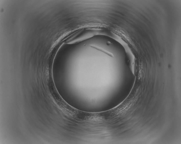 X0000069790348200605221120