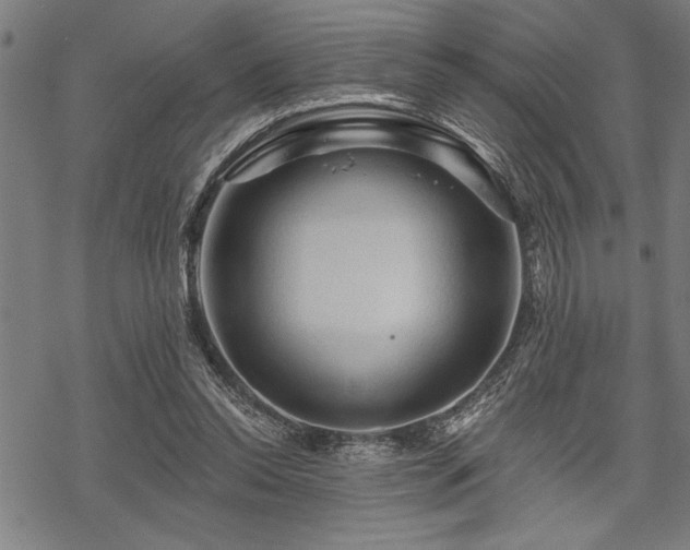 X0000069790350200605221120