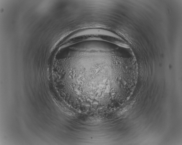 X0000069790351200605221120