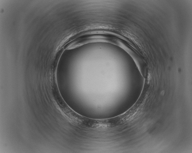 X0000069790352200605221120