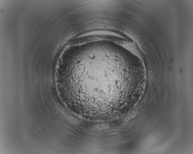 X0000069790353200605221120