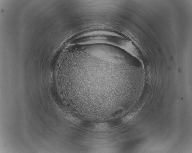 X0000069790355200605221120