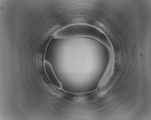 X0000069790356200605221120