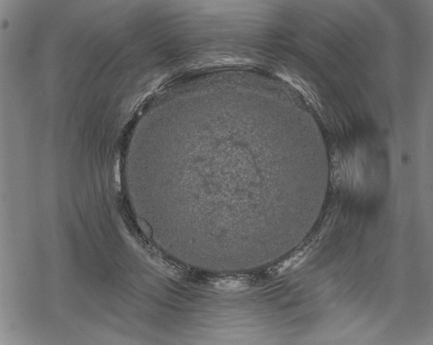 X0000069790358200605221120