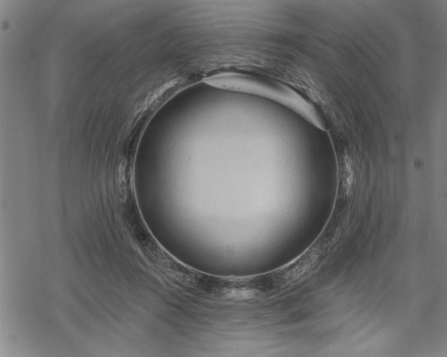 X0000069790360200605221120