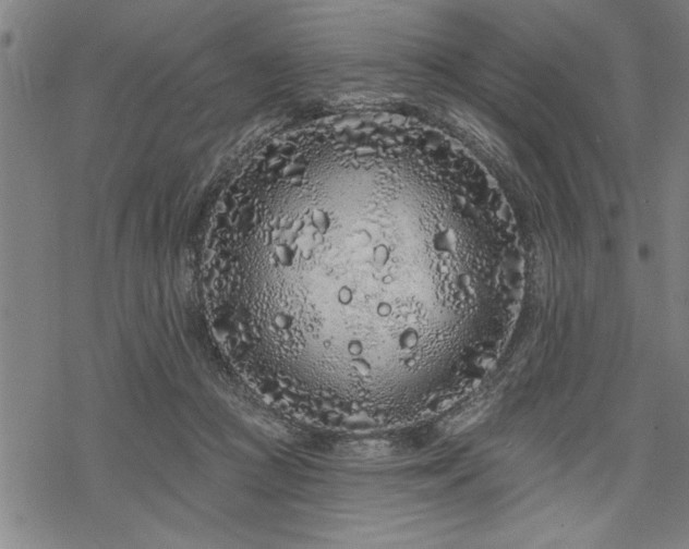 X0000069790361200605221120