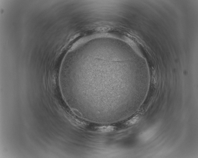 X0000069790363200605221120