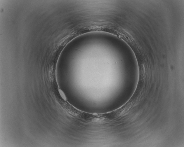 X0000069790364200605221120