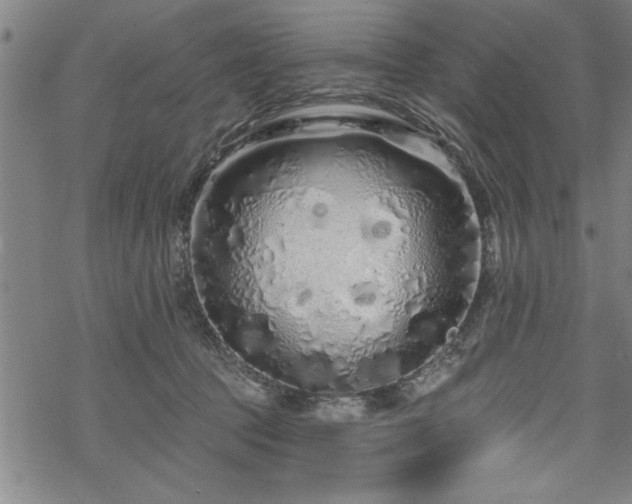 X0000069790369200605221120