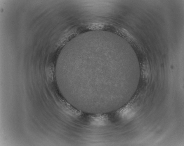 X0000069790370200605221120