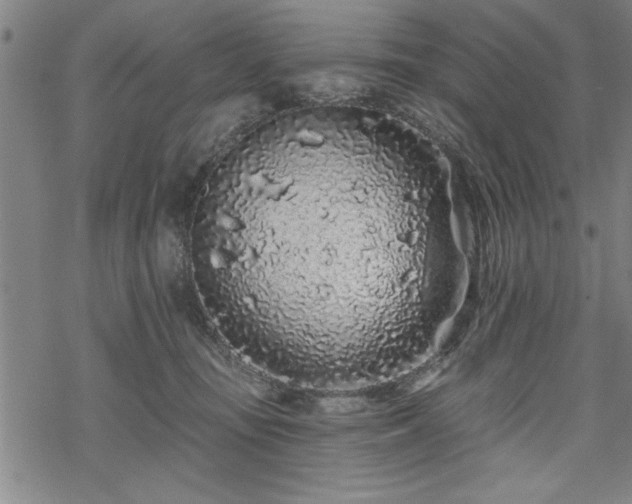 X0000069790371200605221120