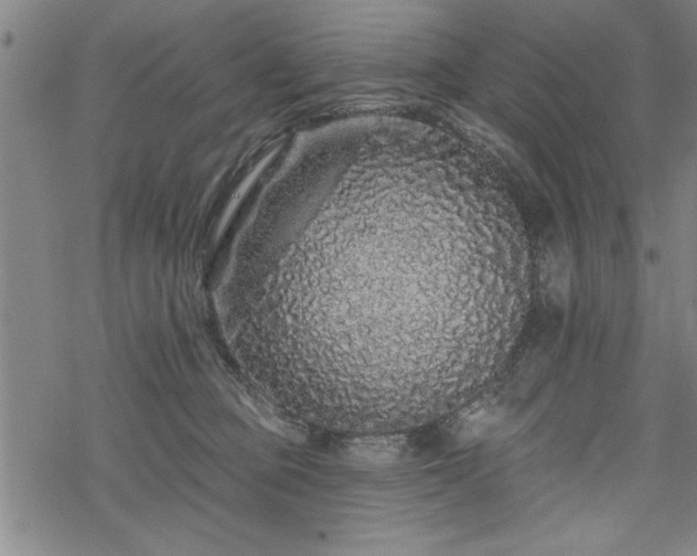 X0000069790373200605221120