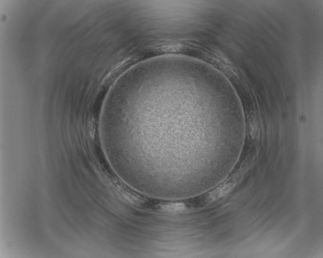 X0000069790374200605221120