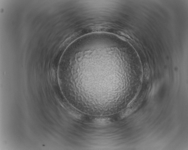 X0000069790375200605221120