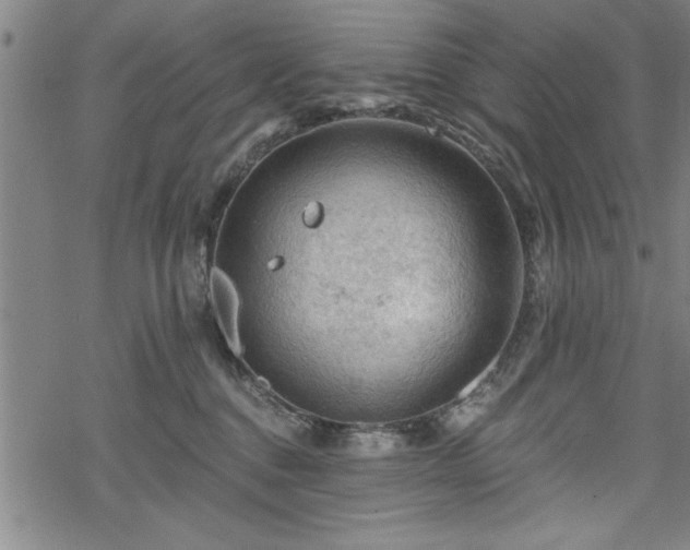 X0000069790376200605221120